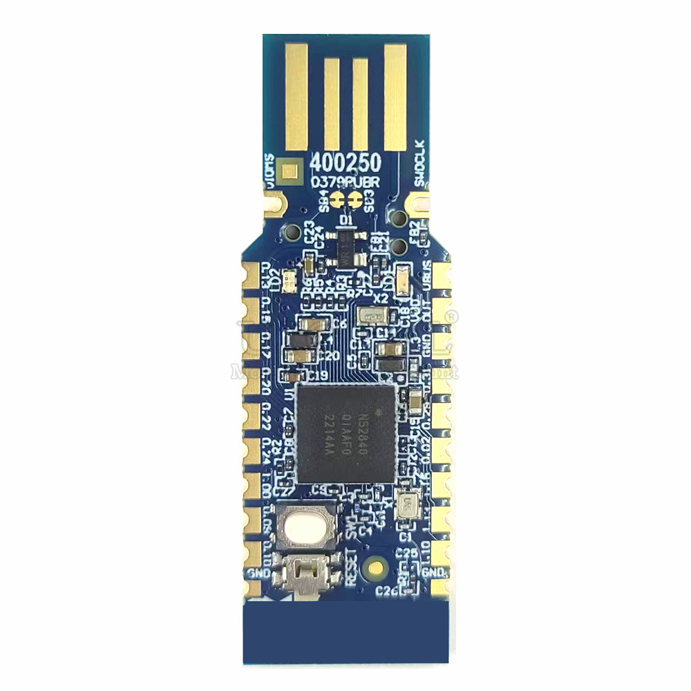 Original for Nordic NRF52840 M - Zigbee Cc2531 ulasan dan harga
