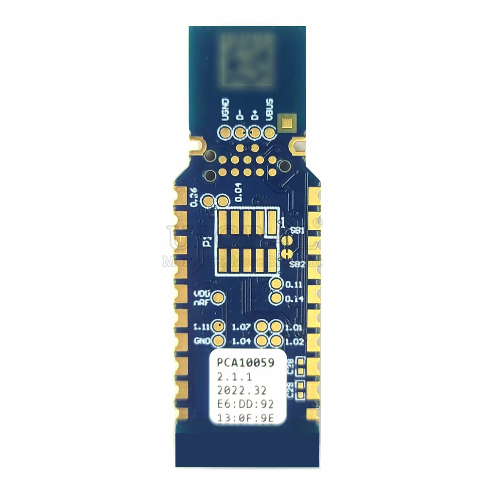 Original for Nordic NRF52840 M - Zigbee Cc2531 ulasan dan harga